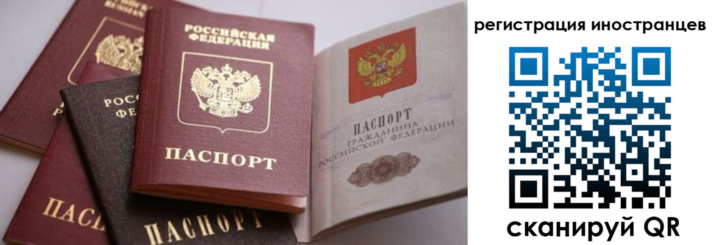 прописка штамп в Шимановске